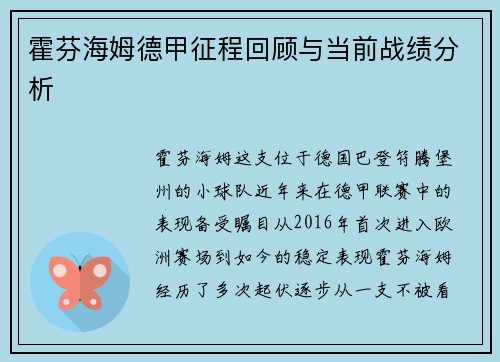 霍芬海姆德甲征程回顾与当前战绩分析