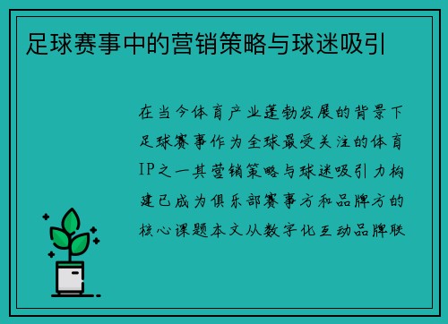 足球赛事中的营销策略与球迷吸引